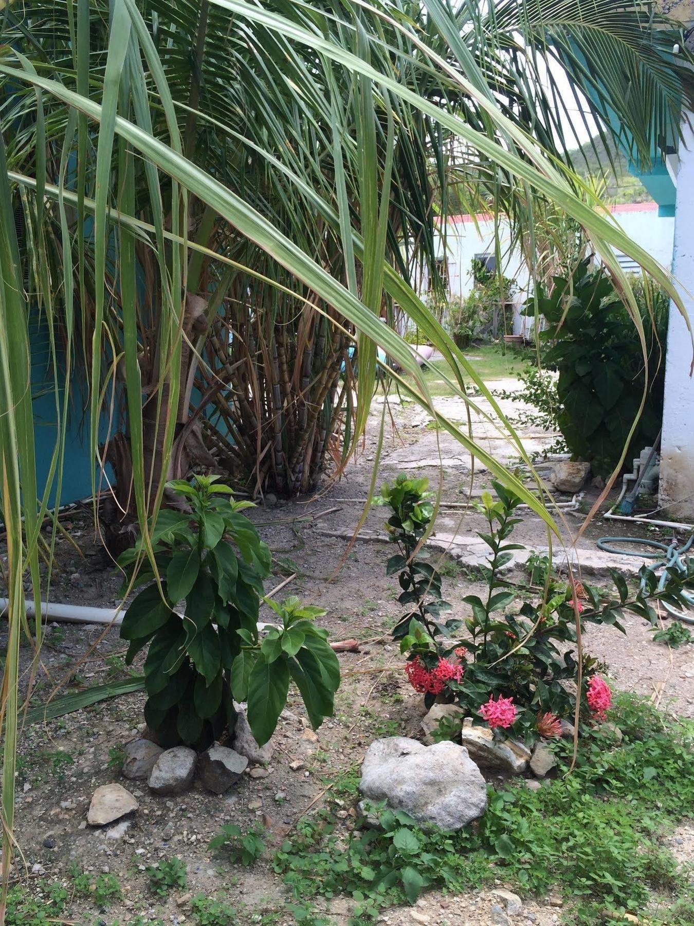 Vicky'S Keys Hostel Upper Princeʼs Quarter 外观 照片